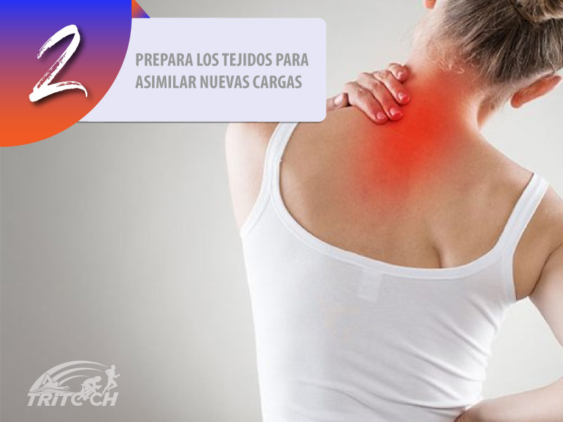 fisioterapeutas y rehabilitación deportiva