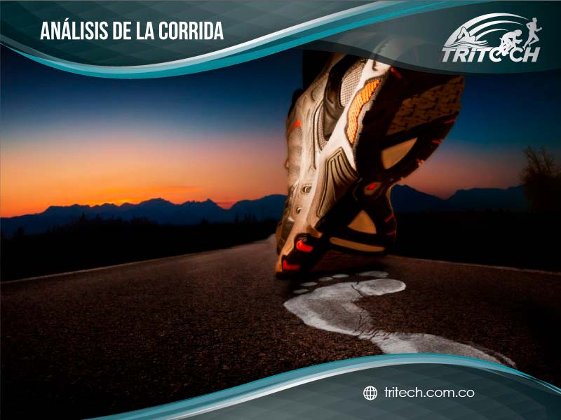 expertos en plantillas después del análisis de la plantilla